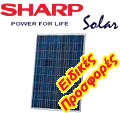 Sharp 